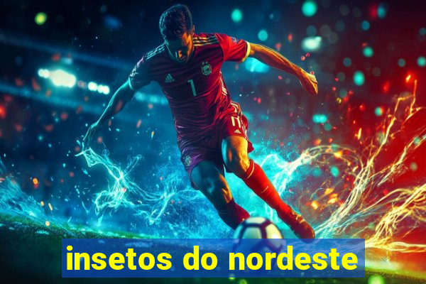 insetos do nordeste